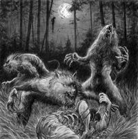 Szary Wilk - Wrath