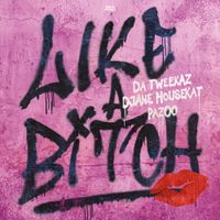 Da Tweekaz - Like A Bitch