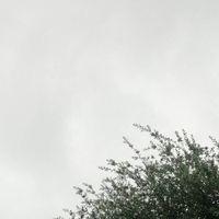 crys - If i die, i won&rsquo;t be able to breathe the fresh air