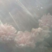crys - clinging to memories that hurt