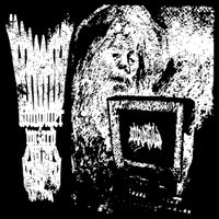 StupidPilled - Komputer Wizard