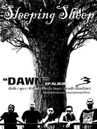 Sleeping Sheep - DAWN