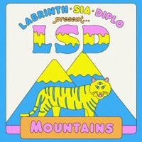 LSD - Mountains