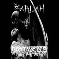 Agathocles - &Scaron;arlah / Agathocles Split
