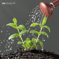 IshDARR - Slow Down, KID