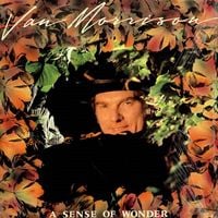 Van Morrison - A Sense of Wonder