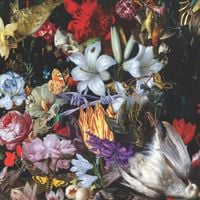 Nightingales - Perish The Thought