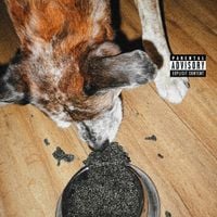 GAL - Du caviar pour mon chien