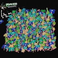 CHROMA - Primavera