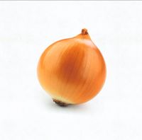 hard life - onion