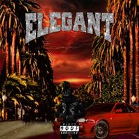 870glizzy - Elegant