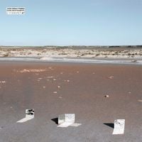 Joan Arnau P&agrave;mies - Guidelines/Fonaments
