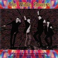 The Wilde Flowers - Tales Of Canterbury: The Wilde Flowers Story