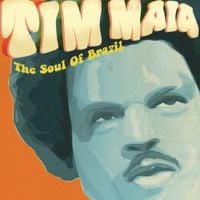 Tim Maia - The Soul of Brazil
