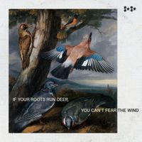 Pleiades - If Your Roots Run Deep, You Can&rsquo;t Fear The Wind