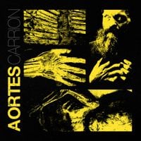 Aortes - Carrion