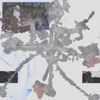 OTON - New Forms of Silence