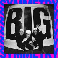 Pet Symmetry - Big Symmetry