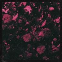 Distressor - Yearn