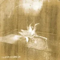 Keo - I Lied, Amber