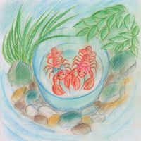 Mei Semones - Zarigani