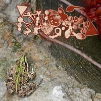 Phyllomedusa - The Cunt's In The Drain, Officer