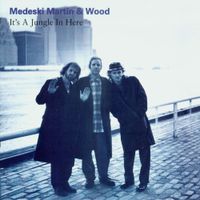 Medeski, Martin & Wood - It&rsquo;s A Jungle In Here