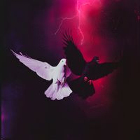 Aleaka - THE ALMIGHTY BIRDS 2: THE STORM SEASON
