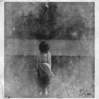 Record Setter - Dim