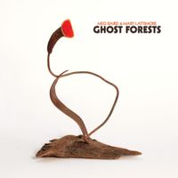 Meg Baird - Ghost Forests