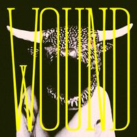 Slow Joy - Wound