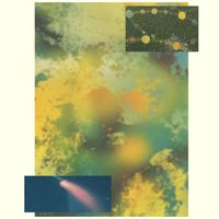 Strict Face - Severe Forward