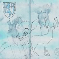 deer park - Terra Infirma