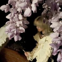 Jacy Nyte - Wysteria