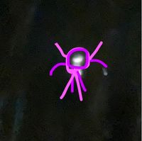 TheGal101 - the light shines, even though the star is gone.