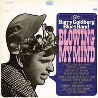Barry Goldberg - Blowing My Mind