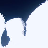 Zaram - Sakura__(angels)