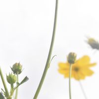 David Cordero & Rhucle - So Far, So Close