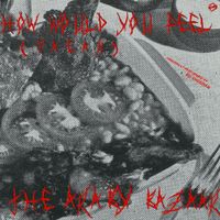 The Araby Bazaar - How Would You Feel (Paean)