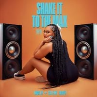 MOLIY - Shake It To The Max (Fly)