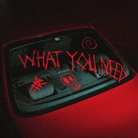 ENVYYOU - what you need