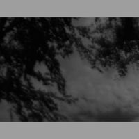 Be Still We Will Live Like Thunder - Shades