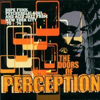 Various Artists - The Doors of Perception: Weird Funk Psychedelic Soul and Acid Jazz from New York City 1970-1974