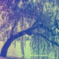 kairi‽ - lepidopterophobia