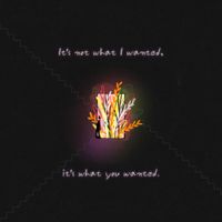NIve - It's not what I wanted, it's what you wanted