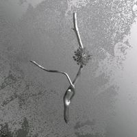 Gaia Banfi - La Maccaia