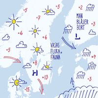 Vasas flora och fauna - Man Bl&aring;ser Bort