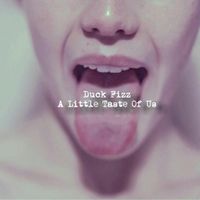 Duck Fizz - A Little Taste of Us