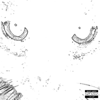 naoeofer - FELINA