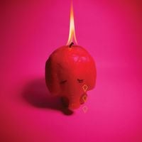 Arcade Fire - Year of the Snake